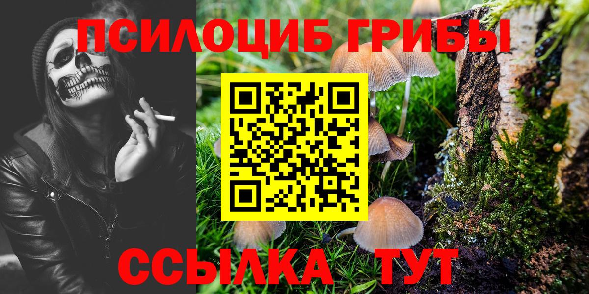 Галлюциногенные грибы мицелий Дзержинский