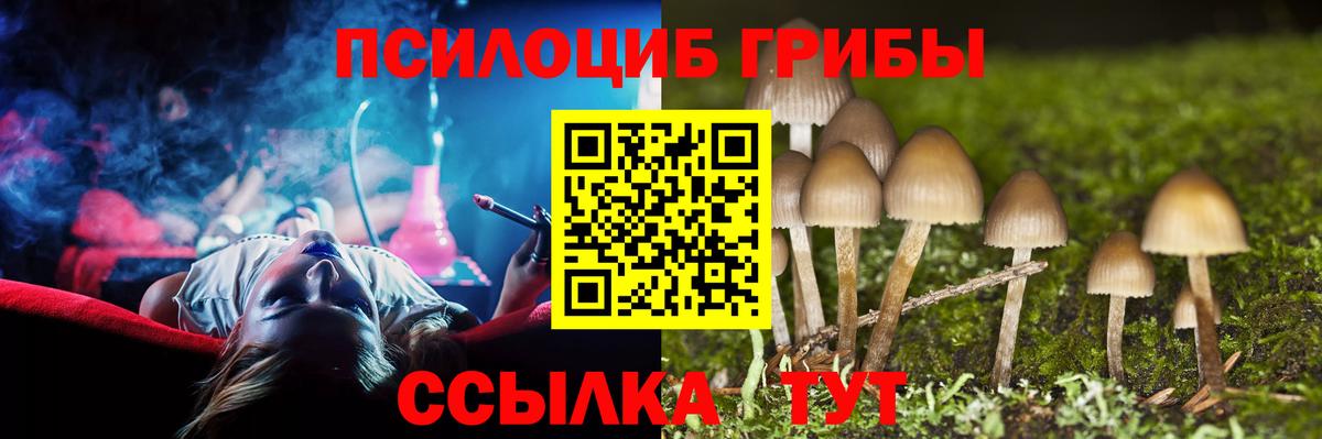 Дзержинский  Галлюциногенные грибы Psilocybe  цены   Вход с VPN 